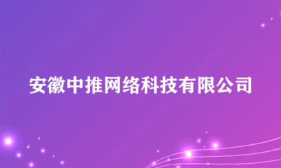 安徽中推網絡科技